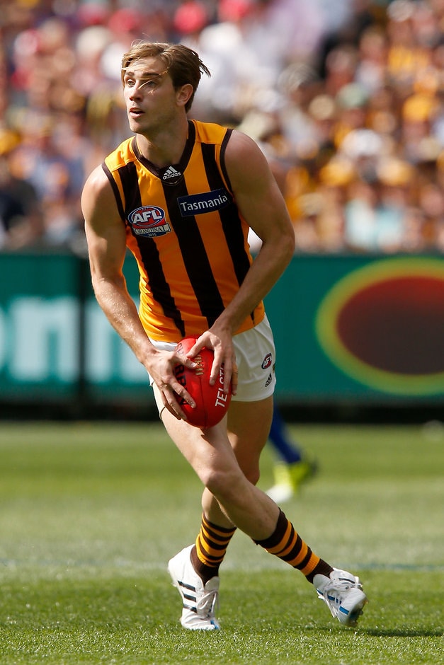 2015 Toyota AFL Grand Final - Hawthorn v West Coast MELBOURNE, AUSTRALIA - OCTOBER 3: Ryan Schoenmakers of the Hawks runs with the ball during the 2015 Toyota AFL Grand Final match between the Hawthorn Hawks and the West Coast Eagles at the Melbourne Cricket Ground, Melbourne, Australia on October 3, 2015. (Photo by Darrian Traynor/AFL Media)